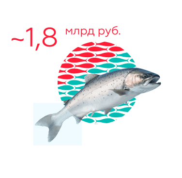 2016 год