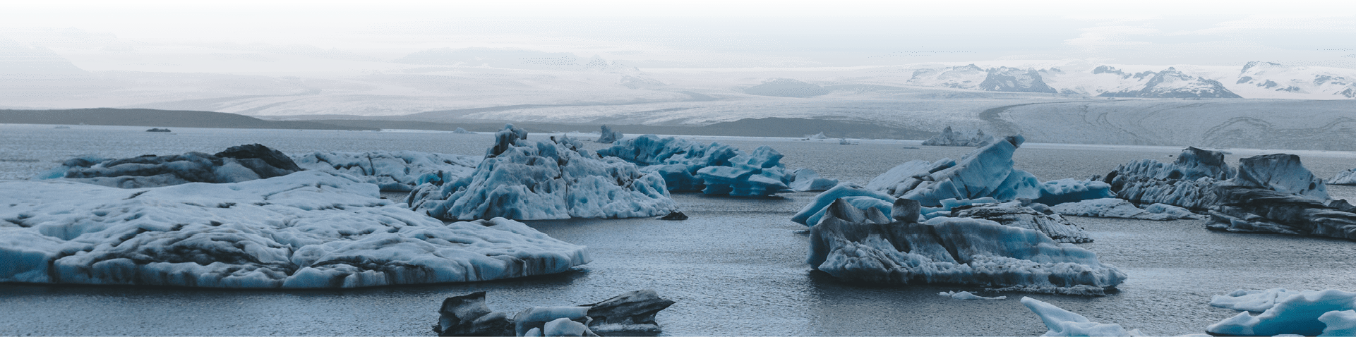 Морской лёд